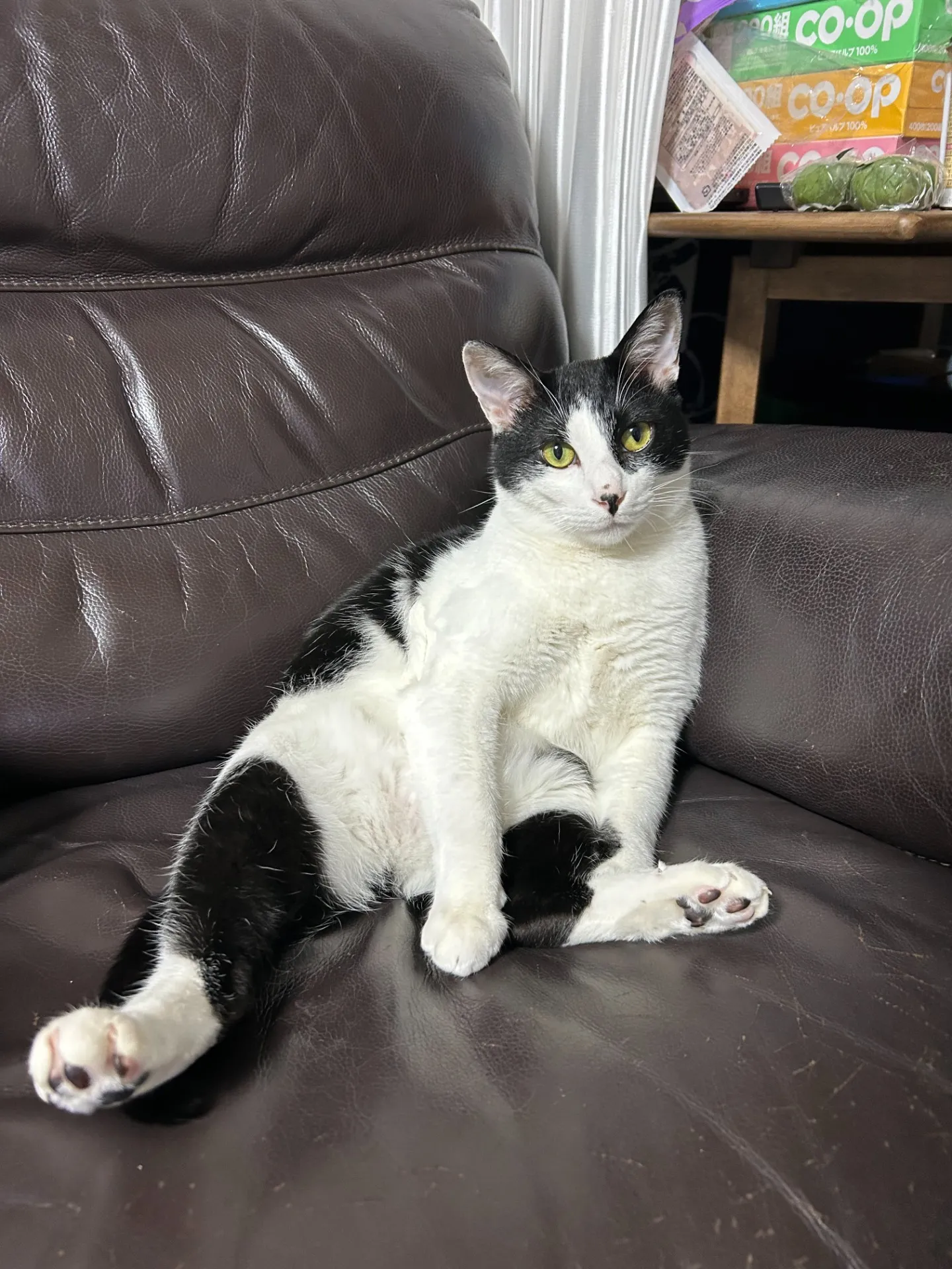 ６月の　休みのお知らせ