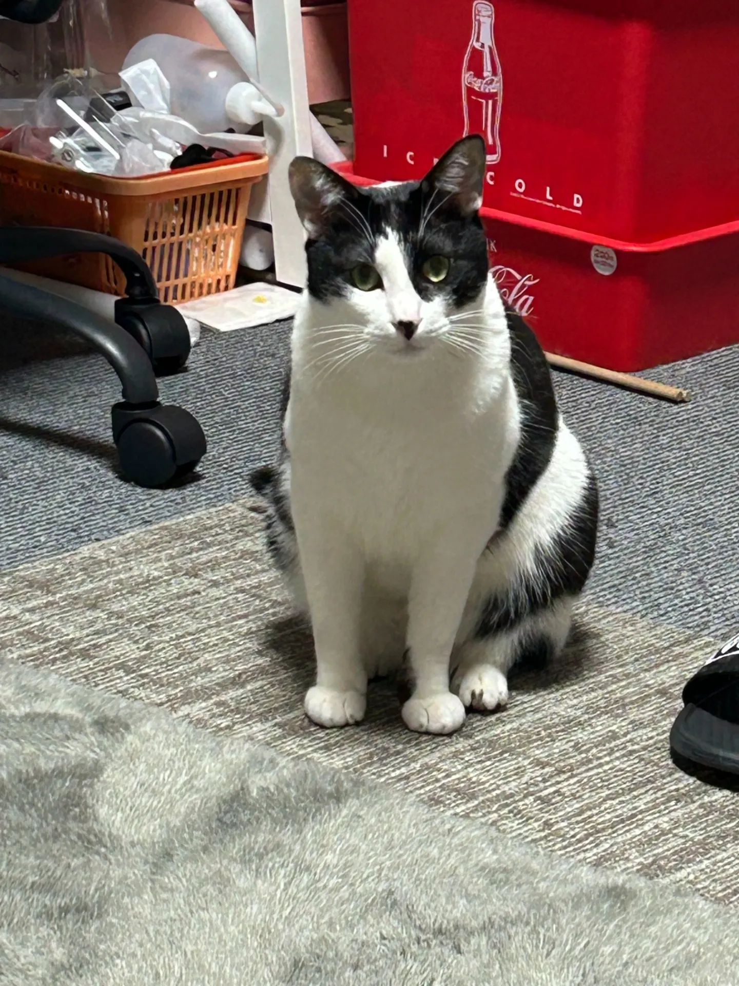 ２月後半休みのお知らせ