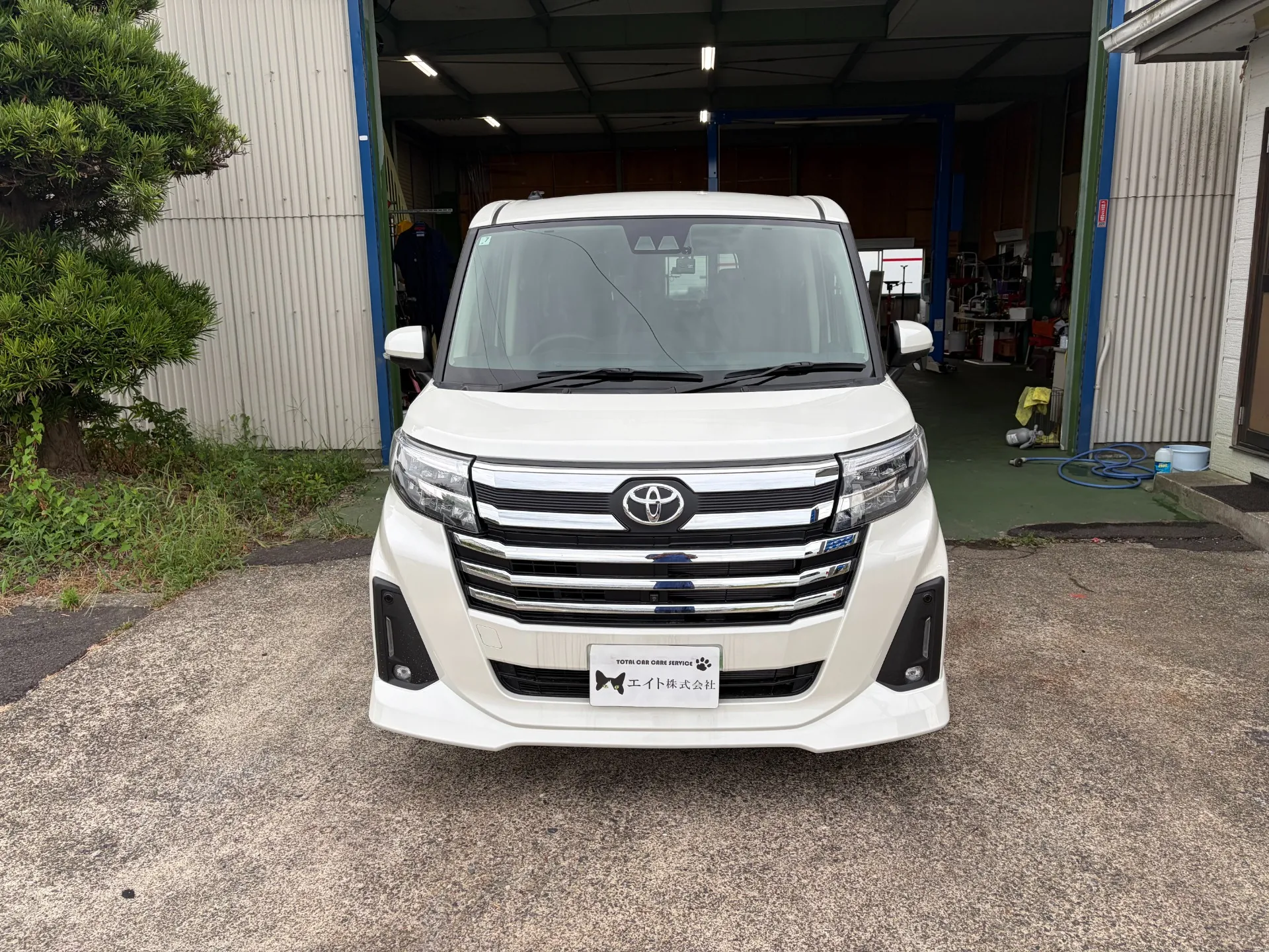 新車から12か月点検実施
